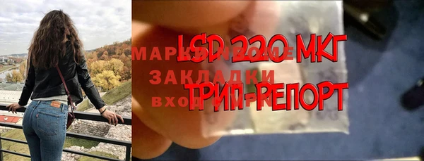 тгк Арсеньев