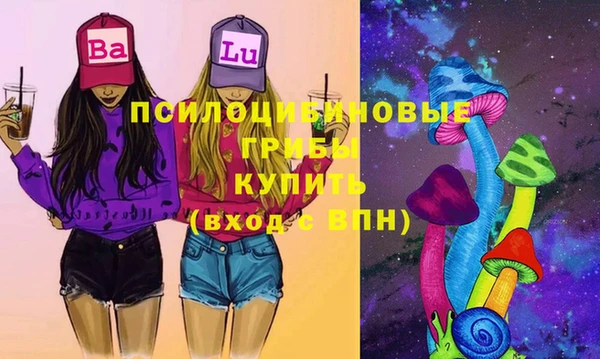 тгк Арсеньев