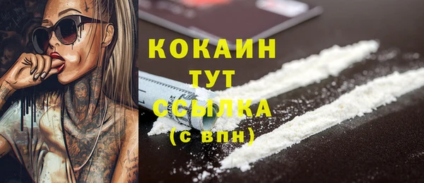 тгк Арсеньев