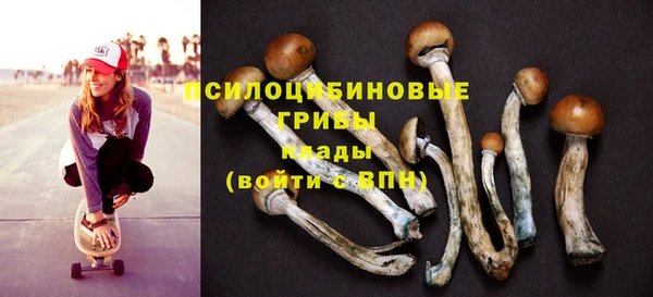 дживик Армянск
