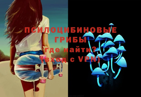 тгк Арсеньев