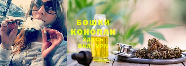 тгк Арсеньев