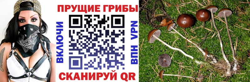 Псилоцибиновые грибы Magic Shrooms  shop наркотические препараты  Рузаевка 